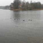 Water-Sport Facilities of The Trakai Historical National Park’s Lakes